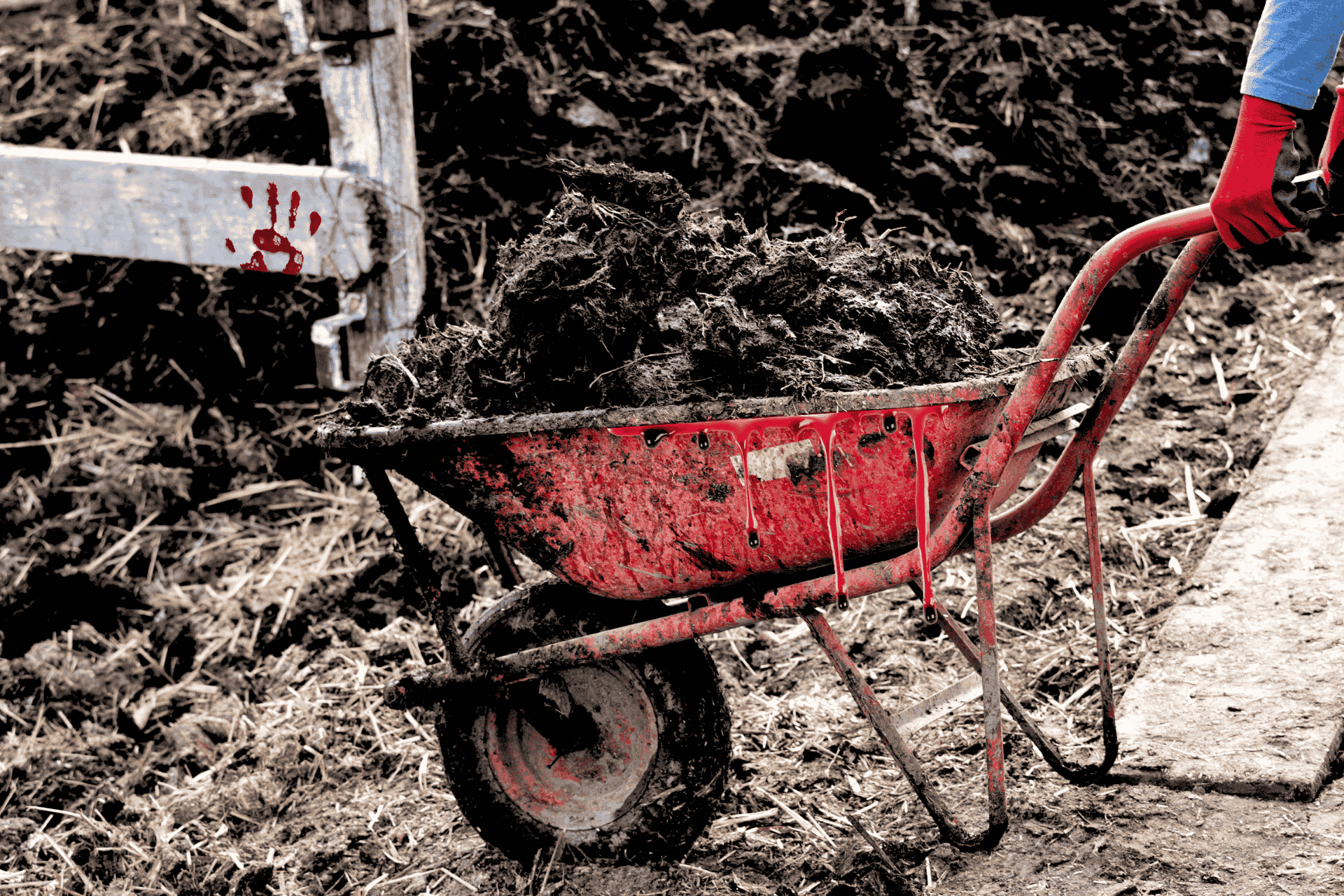 Obdarta, czerwona taczka, cieknąca z niej czerwona ciesz (krew), wypełniona ziemią, trzymana za uchwyty przez dłonie w czerwonych rękawiczkach