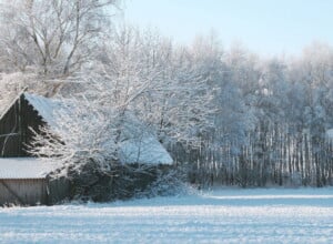 Krajobraz pod śniegiem
