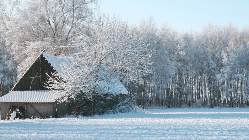 Krajobraz pod śniegiem