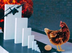 Wielkie białe klocki Domino, przy najmniejszym z przodu stoi kura, pod nią leży jajko. Przy największym klocku widać samolot bojowy, a za nim wybuch.