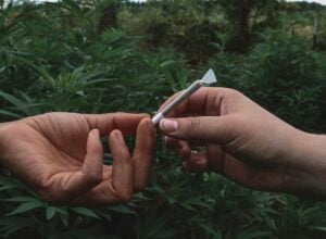 Skręt z marihuaną przekazywany z ręki do ręki