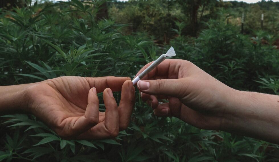 Skręt z marihuaną przekazywany z ręki do ręki
