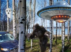 Las brzozowy, po lewej samochód, który potrącił posła Litewkę, na środku Wielka Stopa, w prawym górnym rogu statek UFO
