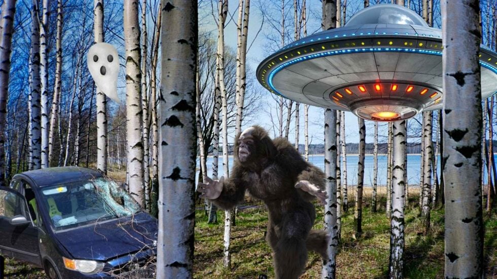 Las brzozowy, po lewej samochód, który potrącił posła Litewkę, na środku Wielka Stopa, w prawym górnym rogu statek UFO