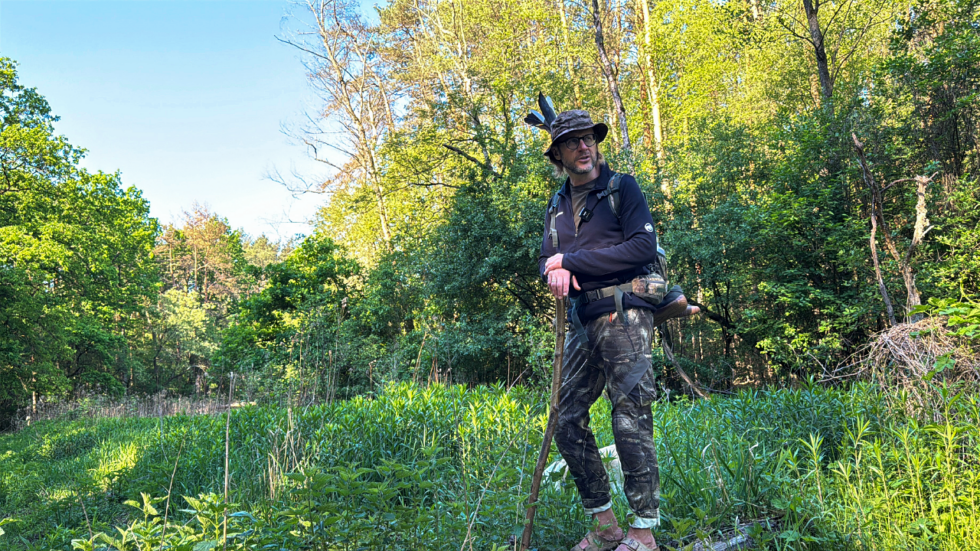 Hiker with a trekking pole stands in a sunlit forest clearing wearing a hat, backpack, and camouflage pants.