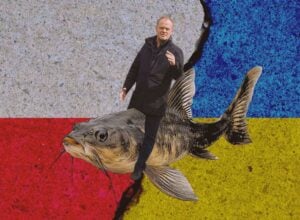 Donald Tusk ujeżdżający suma na tle polskiej i ukraińskiej flagi