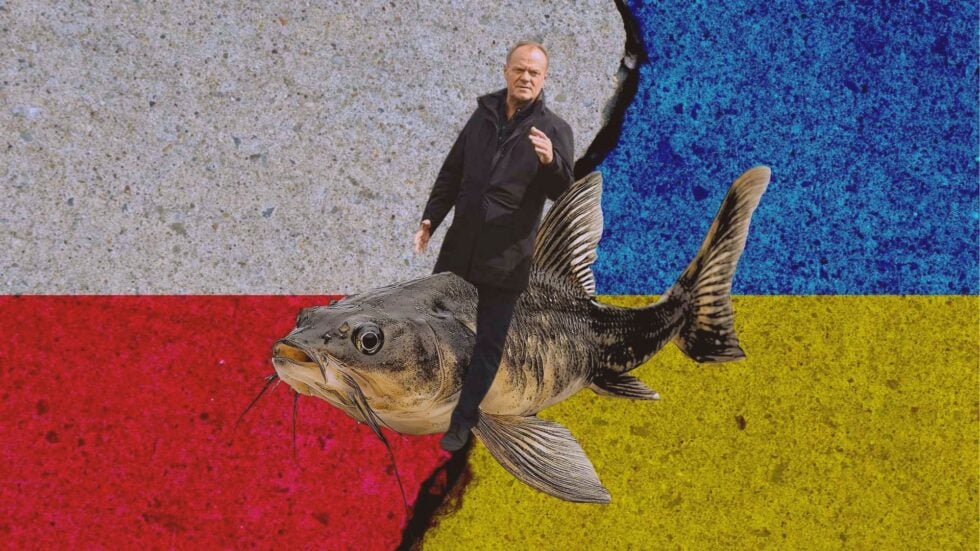 Donald Tusk ujeżdżający suma na tle polskiej i ukraińskiej flagi
