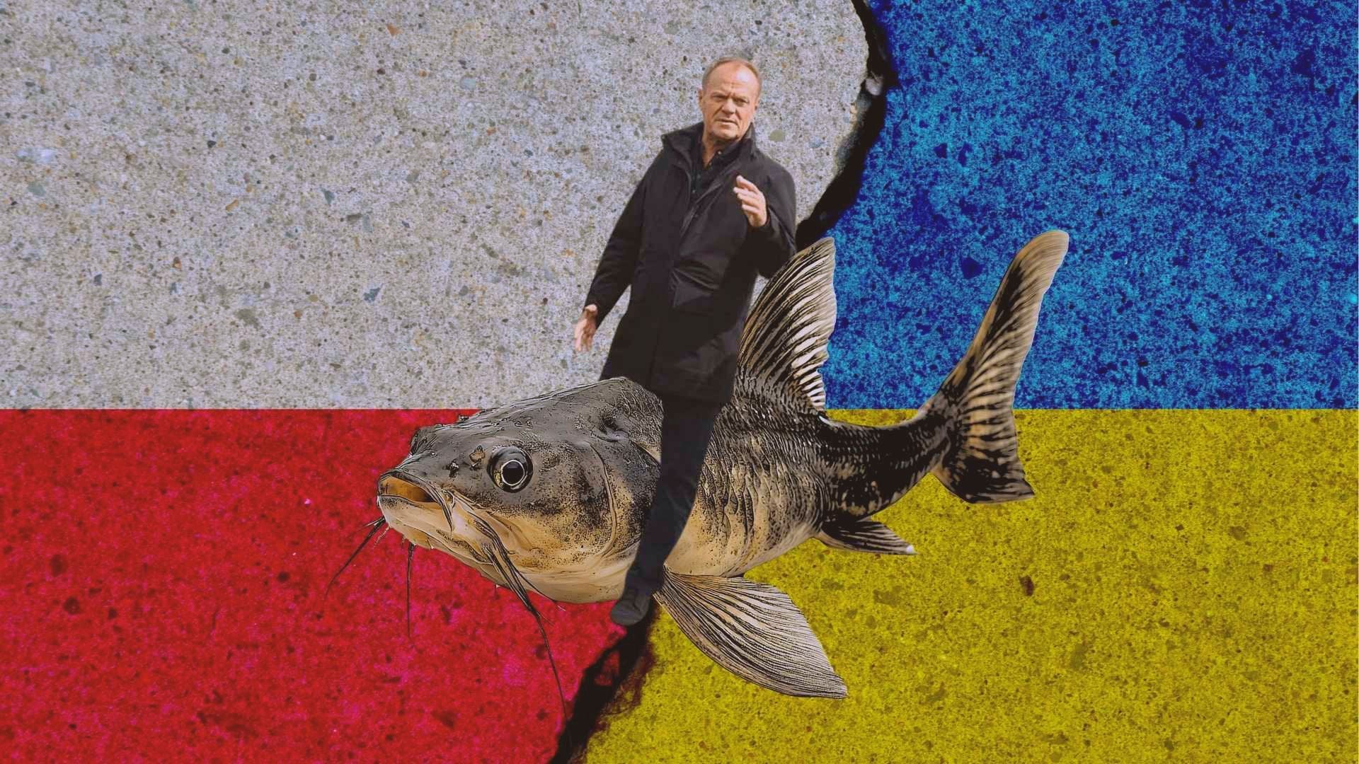 Donald Tusk ujeżdżający suma na tle polskiej i ukraińskiej flagi
