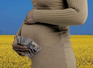 Kobieta widziana od piersi w dół z ciążowym brzuchem i plikiem dolarów w dłoni, za nią niebieskie niebo i pola rzepaku w barwach ukraińskiej flagi