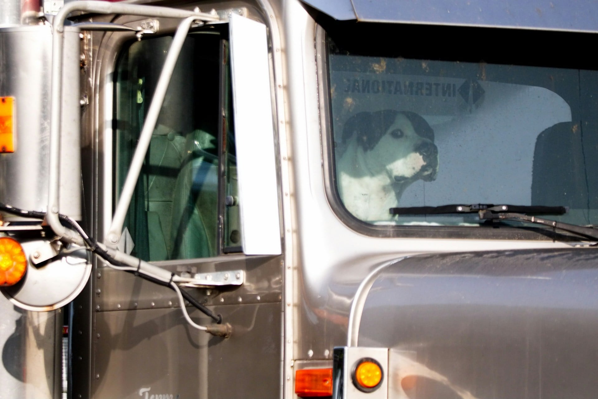 Close-up of a silver semi-truck cab with exposed wiring and an orange side marker light; a dog's face is reflected in the windshield
