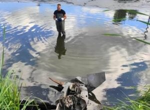 Man standing in a shallow pond wearing chest-high waders and gloves, examining the water amid reeds and debris.