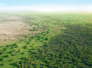 Aerial view of a landscape with green pastures and scattered trees transitioning to a dry, barren area on the left.