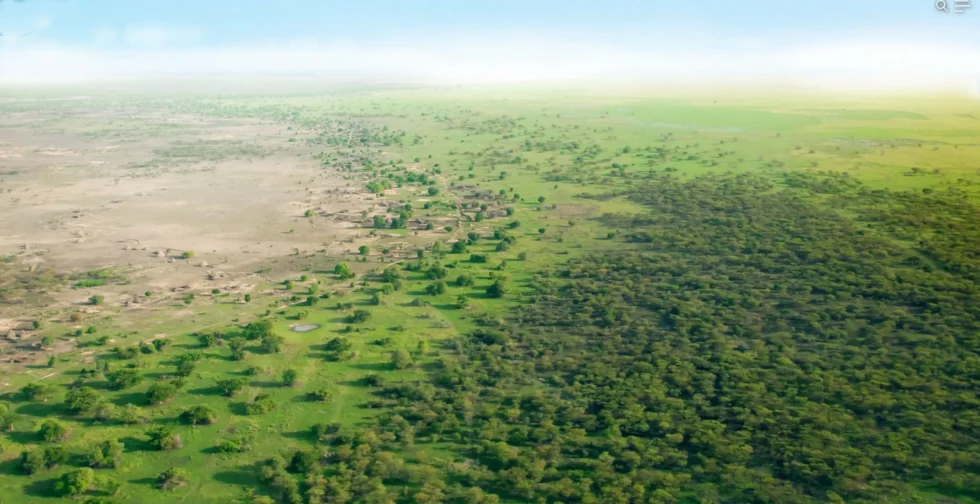 Aerial view of a landscape with green pastures and scattered trees transitioning to a dry, barren area on the left.