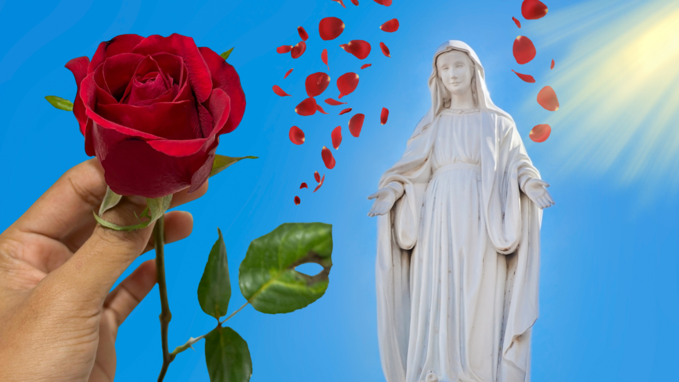 A hand offers a red rose toward a white statue of the Virgin Mary as petals drift in a bright blue sky.