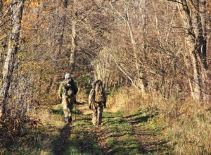Two hikers with backpacks walk along a leaf-strewn woodland trail in autumn sunlight by tall bare trees.