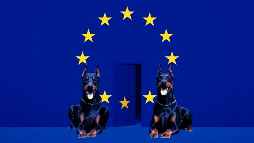 Wielka flaga Unii Europejskiej, na środku między kołem z gwiazd uchylone drzwi, przed nimi dwa dobermany