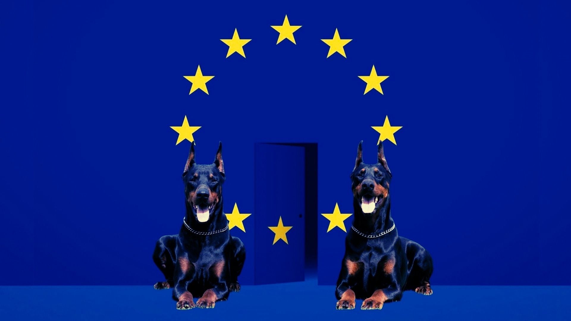 Wielka flaga Unii Europejskiej, na środku między kołem z gwiazd uchylone drzwi, przed nimi dwa dobermany